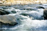 A River Runs Through It