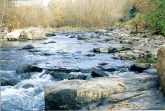 A River Runs Through It